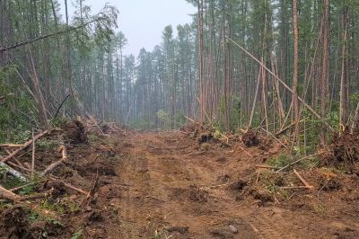 Commercial Site Clearing in Salt Lake City, UT